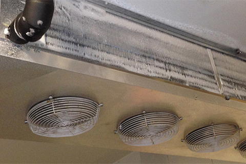Condensation and Humidity - A Walk-In Cooler’s Biggest Threat