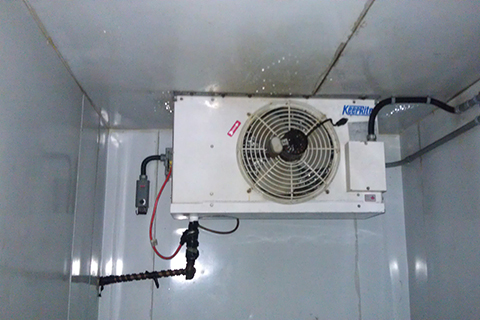 reach in cooler compressor