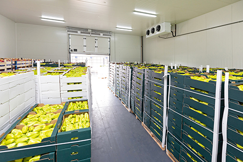 Simple Cleaning Tips For Your Commercial Refrigerator or Freezer